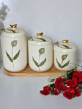 Kit Potes Jardim de Jade